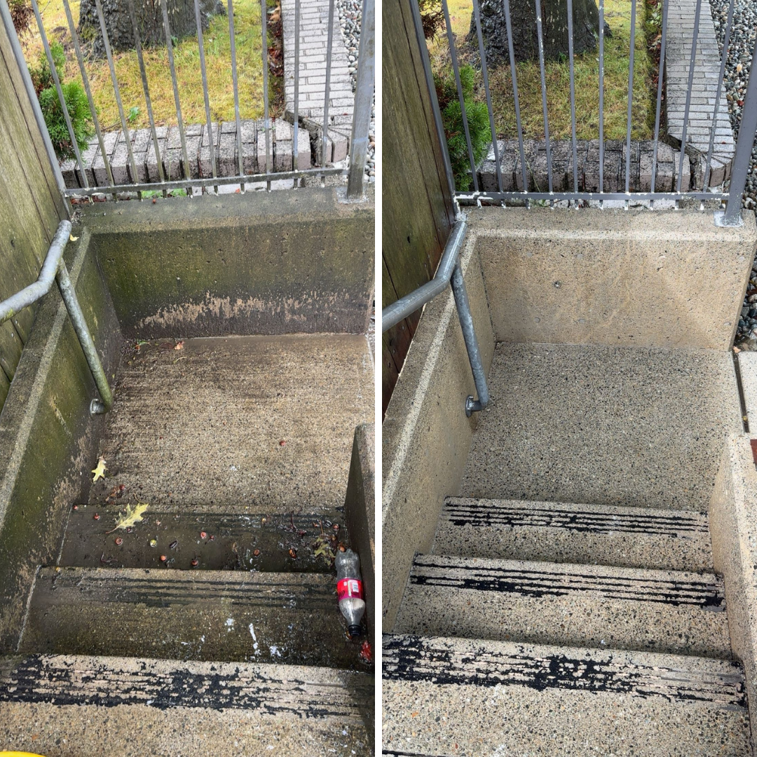 Before and after pressure washing driveway Lower Mainland BC